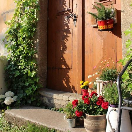 Lazy River Hostel Loket Dış mekan fotoğraf
