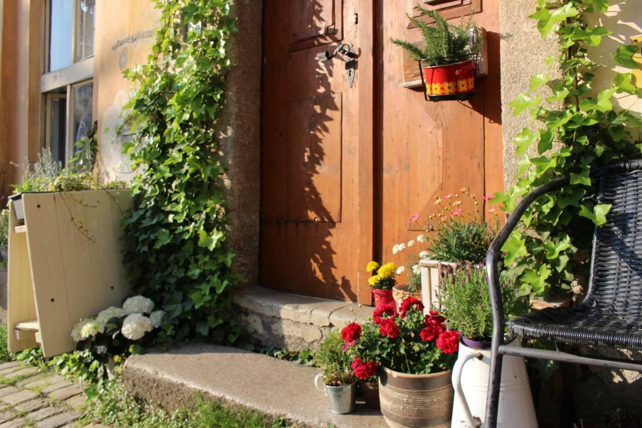 Lazy River Hostel Loket Dış mekan fotoğraf